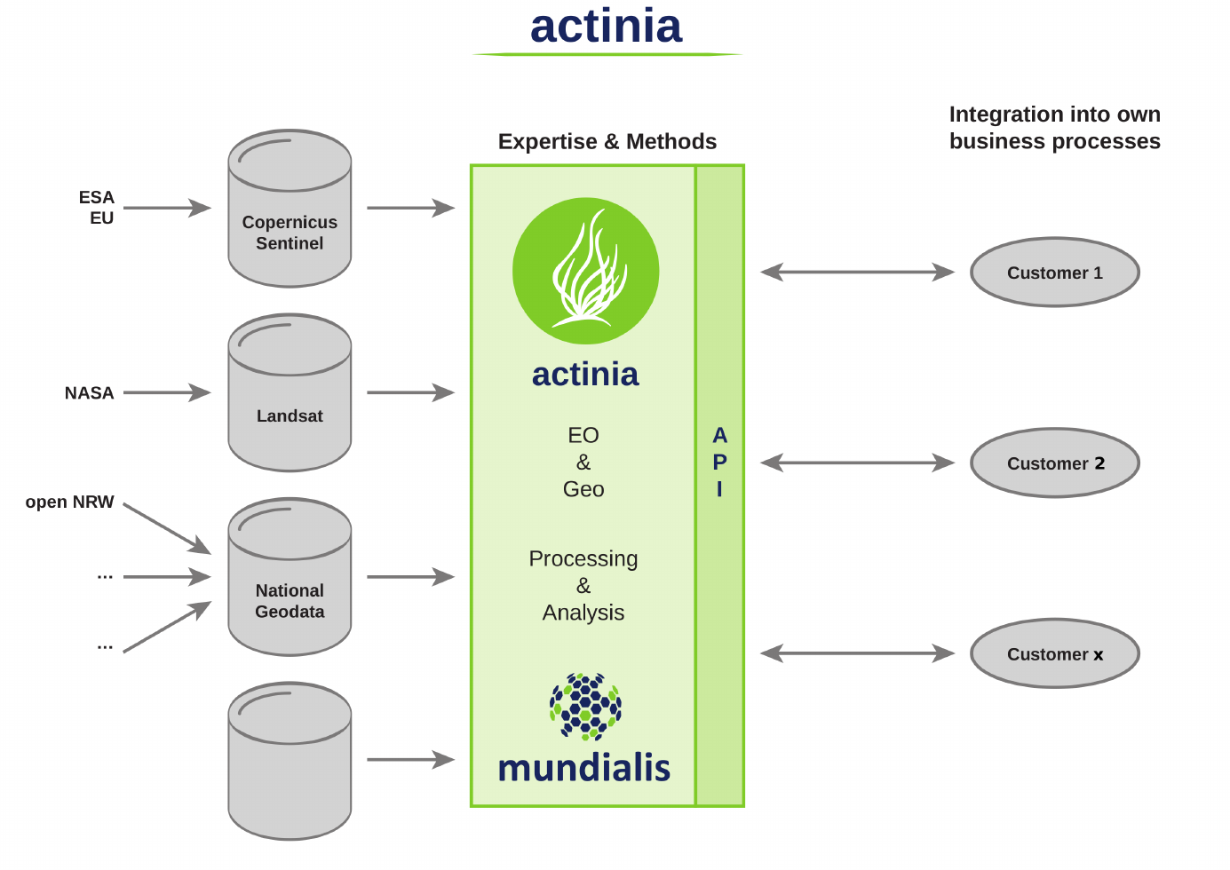 actina